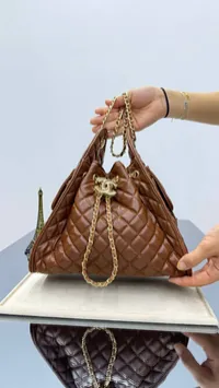 Chanel 25 Hobo Bag Multicolor – Image 3