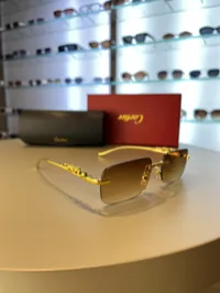 Cartier Jaguar Gold Tone Rimless – Image 3