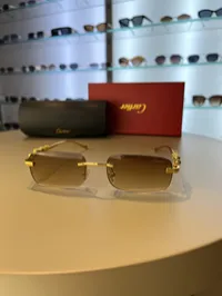 Cartier Jaguar Gold Tone Rimless – Image 2