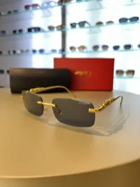 Cartier Jaguar Black Rimless – Image 5