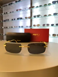 Cartier Jaguar Black Rimless – Image 2