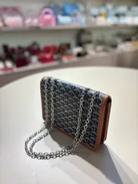Goyard Saint Louis - Flap Bag (Brown/Tan) – Image 2