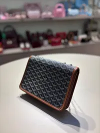 Goyard Saint Louis - Flap Bag (Brown/Tan) – Image 5