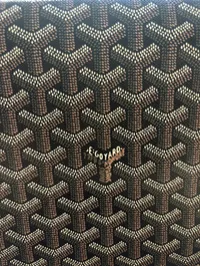 Goyard Saint Louis - Flap Bag (Brown/Tan) – Image 8