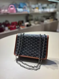 Goyard Saint Louis - Flap Bag (Brown/Tan) – Image 6