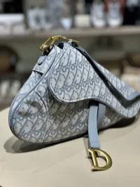Dior Saddle Fabric Gray – Image 4