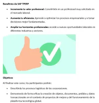 CURSO SAP TPERP – Imagen 4