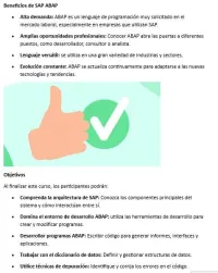 ABAP -Programación Avanzada de Aplicaciones Empresariales – Image 3
