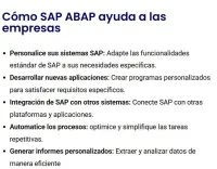 ABAP -Programación Avanzada de Aplicaciones Empresariales – Image 2