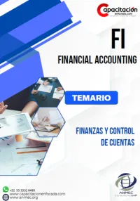 FI - Finanzas y Control de cuentas – Image 1