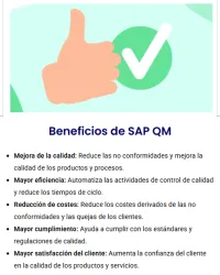 QM - Gestión de la Calidad – Image 3