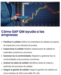 QM - Gestión de la Calidad – Image 2