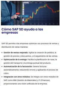 SD -Ventas y Distribución – Image 2
