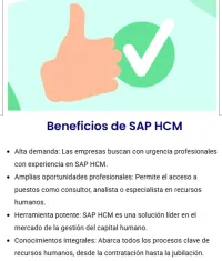 HCM - GESTIÓN DEL CAPITAL HUMANO – Imagen 3