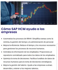 HCM - GESTIÓN DEL CAPITAL HUMANO – Imagen 2