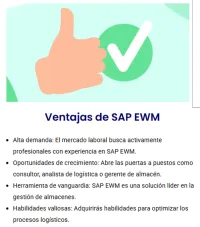 EWM -Sistema de Gestión de Almacenes (WMS) – Image 2