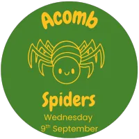 Spiders (9.9.26 10am) – Image 1