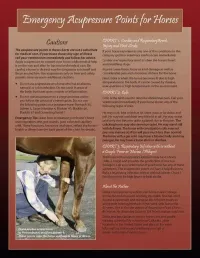 Acupressure Point Charts for Horses book + 6-Page Laminated Chart – Image 3