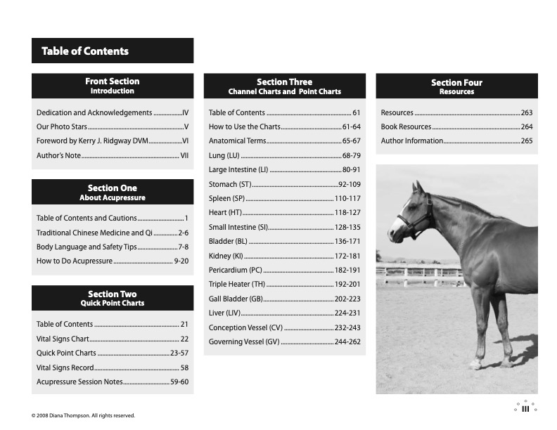 Acupressure Point Charts for Horses book + 6-Page Laminated Chart – Image 8