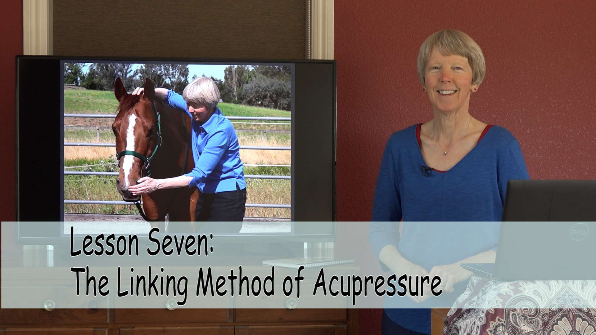 Comprehensive Online Course, Printed Book and Chart – Image 8