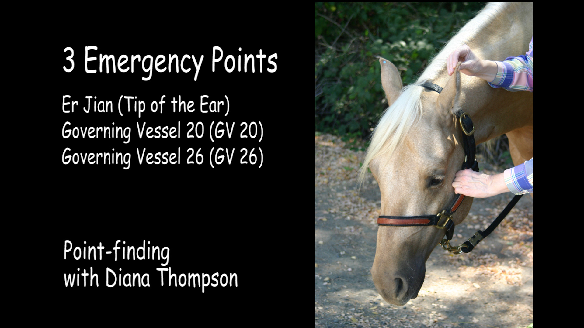 Comprehensive Online Course, Printed Book and Chart – Image 14