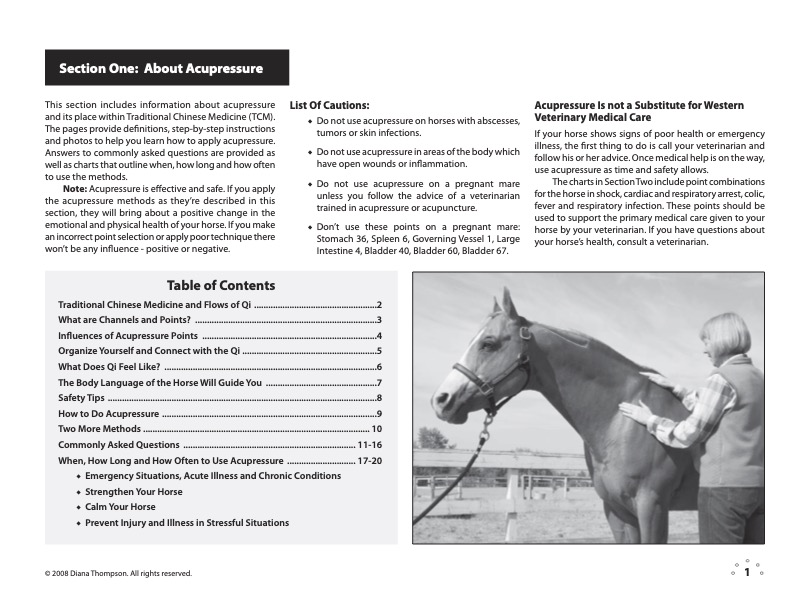 Acupressure Point Charts for Horses book + 6-Page Laminated Chart – Image 9