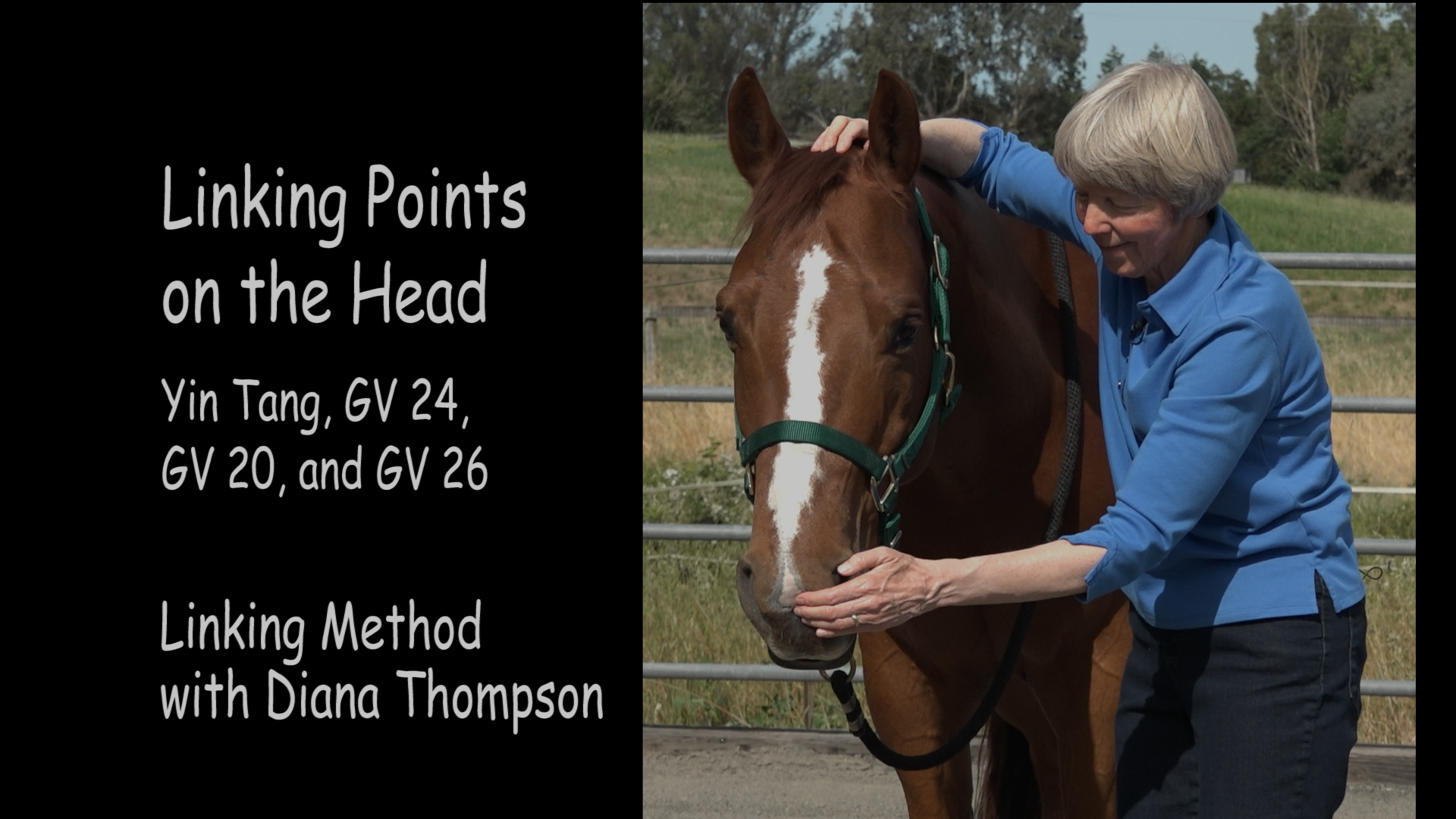 Comprehensive Online Course, Printed Book and Chart – Image 9