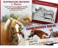 Comprehensive Online Course, Printed Book and Chart – Image 1
