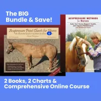 BIG Bundle & Save! – Image 1
