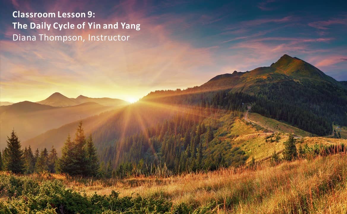 Comprehensive Online Course, Printed Book and Chart – Image 10