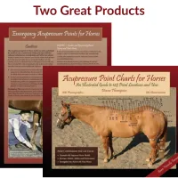 Acupressure Point Charts for Horses book + 6-Page Laminated Chart – Image 1