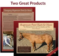 Acupressure Point Charts for Horses book + 6-Page Laminated Chart – Image 1