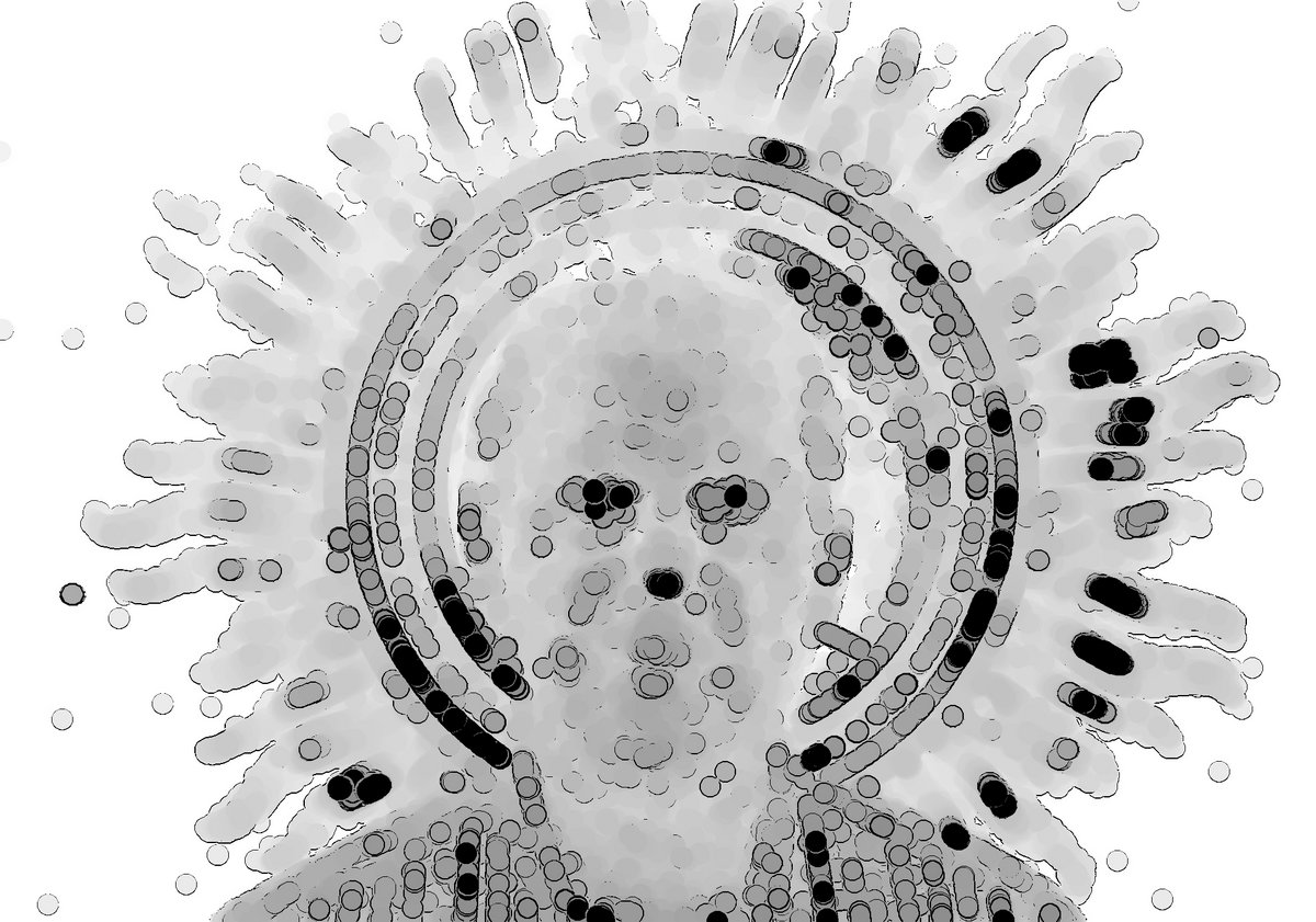 blog author image