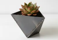 Succulent Planter – Image 1