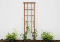 Garden Trellis – Image 1