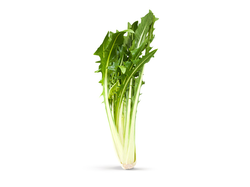 Catalogna – Image 4