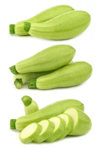 Zucchina – Immagine 3