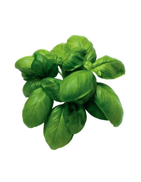 Basilico – Image 3