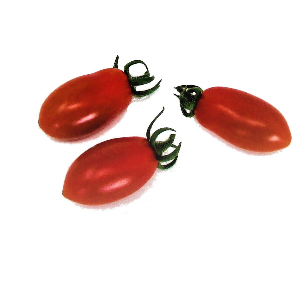 Pomodorino Datterino Rosso – Image 3