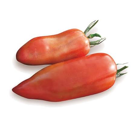 Pomodoro Corno Rosso – Image 4