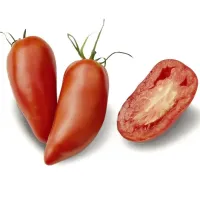 Pomodoro Corno Rosso – Image 3
