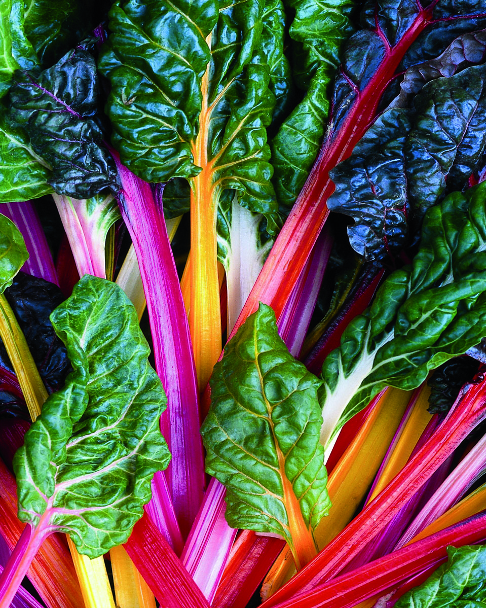 SCORTA Coste & Erbette & PAK CHOI – Image 1