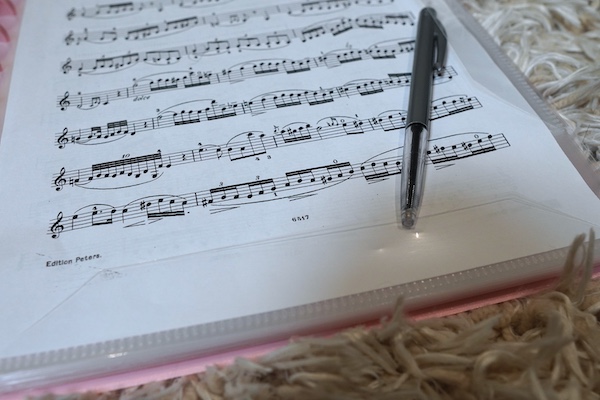 Sheet Music Folder – Ring Binder, 20 Pages / 40 Sides – Image 6