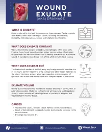 Guide: Wound Exudate Drainage – Image 2