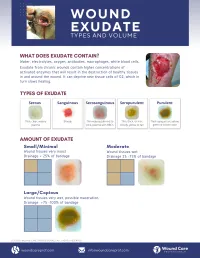 Guide: Wound Exudate Volume – Image 2