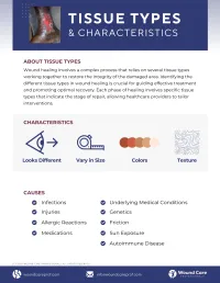 Guide: Tissue Types – Image 2