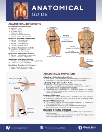 Guide: Anatomical Roadmap – Image 2