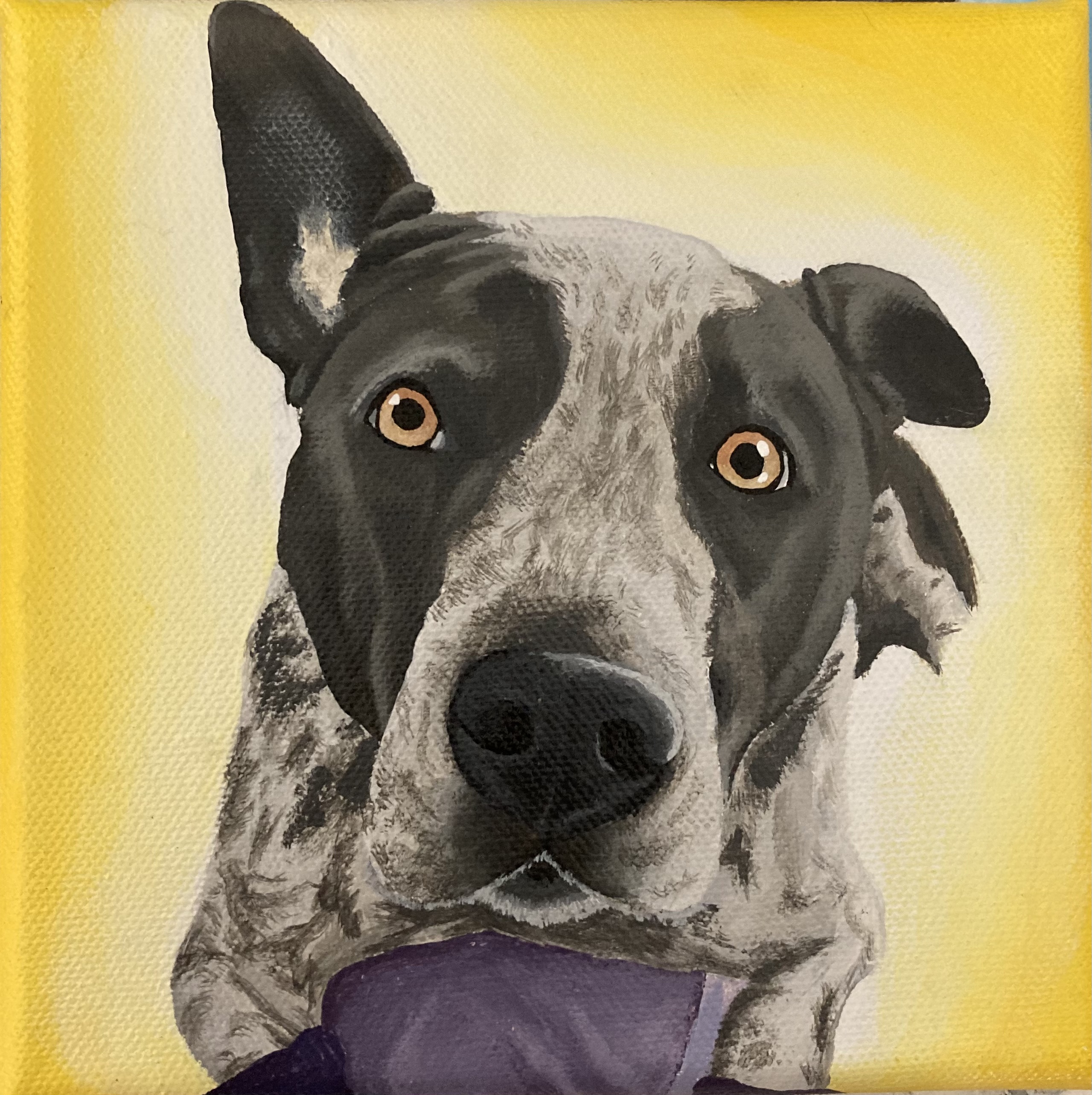 Pet Portrait – Image 4
