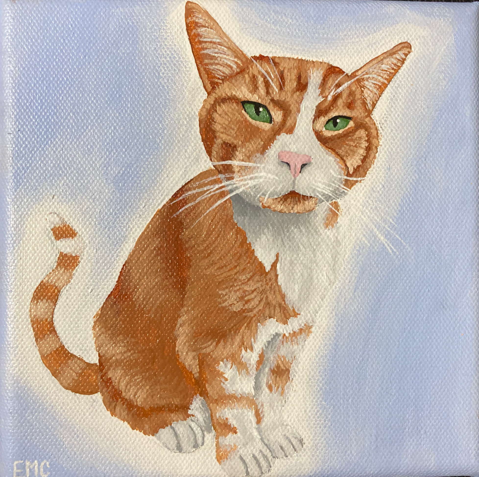 Pet Portrait – Image 2