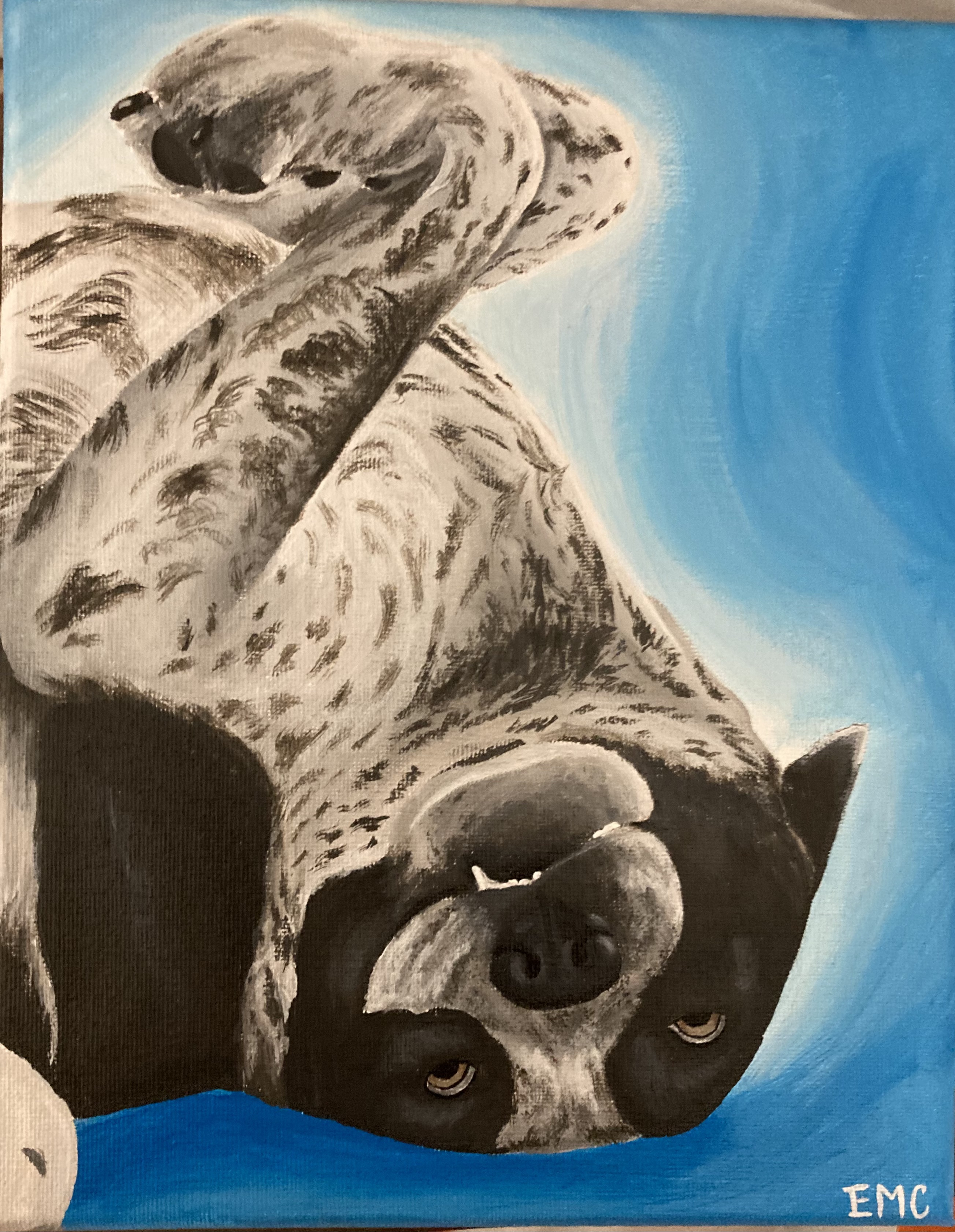 Pet Portrait – Image 6